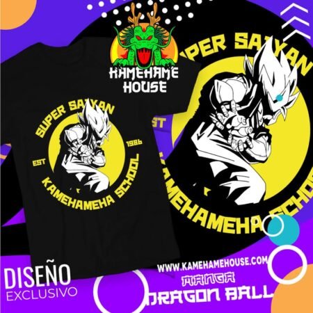 Dragon Ball Kamehameha school