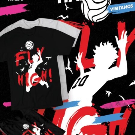 Haikyuu Fly High